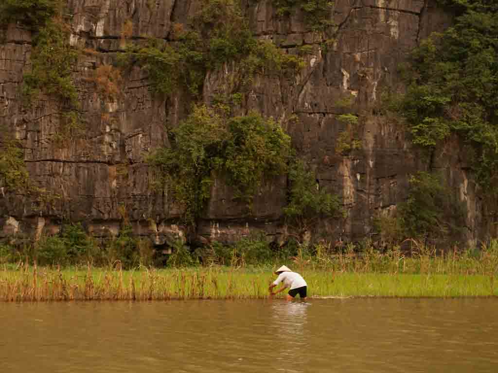 Montanhas e arroz, no Vietnã